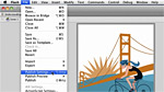 GS-13: Understanding Publishing in Flash GS-13: Understanding Publishing in Flash