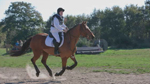 Bilder mit dem neuen Formgitter anpassen