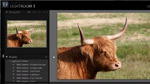 Adobe Lightroom 3: Presets and Templates