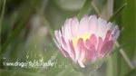 ES 01: Der After Effects Workflow