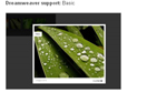 Einführung in die Web Widgets - Dreamweaver CS4