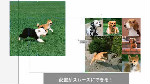 Ai:クリッピングマスクを使用したレイアウト比較