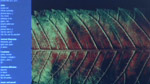 Beautiful Algorithms: Design from Nature and Mathematics