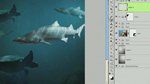 Create an Underwater Composition