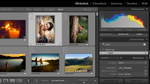 Einen Elements-Katalog nach Lightroom übernehmen Einen Elements-Katalog nach Lightroom übernehmen