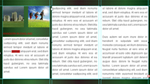 Mehrspaltige Textfelder in Flash CS5
