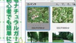 Mini Bridgeを利用した画像の配置