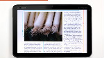 InDesign CS5.5およびAdobe Digital Publishing Suiteを使用したデジタルマガジンの制作