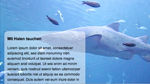CSS Layouts CSS Layouts
