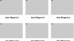 Einführung in Flash Catalyst CS5.5