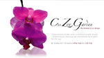 InDesign CS5.5: Warum CSS? InDesign CS5.5: Warum CSS?