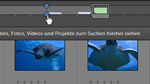 Suchen über die Zeitleiste in Photoshop Elements 9