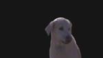 Adobe After Effects CS5 : Détourage d'un personnage 2/2 Adobe After Effects CS5 : Détourage d'un personnage 2/2
