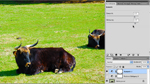 Beispiel in Photoshop CS5: Sättigung und Dynamik Beispiel in Photoshop CS5: Sättigung und Dynamik