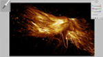 Episode 4: Photoshop CS5 Magic