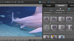 Einseitige Überblendungen in Premiere Elements 10