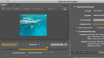 Flash CS5: Videos mit dem Adobe Media Encoder umrechnen