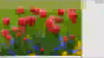Retusche in Photoshop
