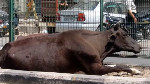 対比の世界 — ノイダ、インド