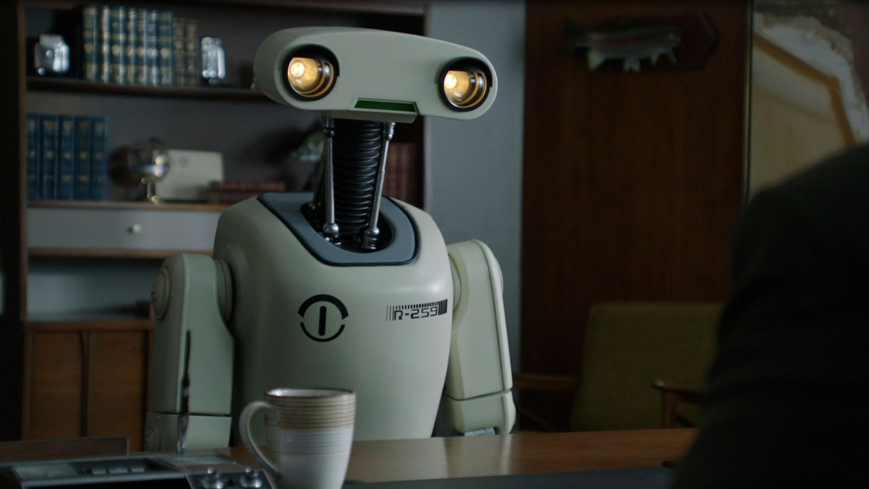 The Robot The Robot