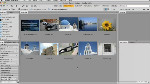 Applying Metadata Templates in Adobe Bridge