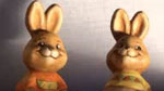 Adobe OnLocation et Adobe Story