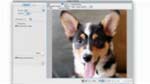Présentation des fonctionnalités de Dreamweaver CS4