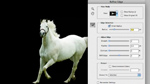Terry White’s Favorite Things about CS5 Design Premium
