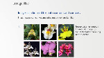 Part 4 - Interaction Design & Images and Media Part 4 - Interaction Design & Images and Media
