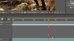 Auto Keyframes in After Effects CS5