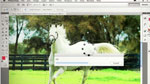 CS5 pour la création CS5 pour la création