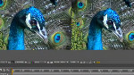 AE CS5.5: Warp Stabilizer Basic Parameters