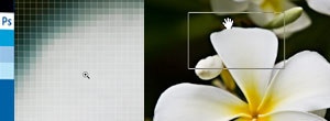 Photoshop CS4でのGPUアクセラレーション