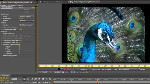 AE CS5.5: Warp Stabilizer Advanced Parameters