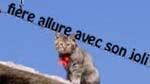 Adobe Photoshop CS5 : Le texte suit un tracé