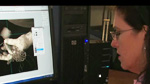 American Hands - Photography Taking Advantage of HP Z Workstations