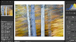 Essential Shortcuts for Lightroom’s Develop Module