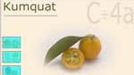 Adobe Fireworks CS5 : Le calque web et son fonctionnement