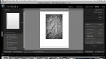 LR - Print the Perfect Image
