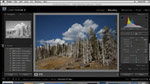 LR - Converting Images to Black and White LR - Converting Images to Black and White