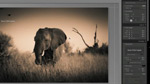 Photoshop CS5およびLightroom 3 - フォトグラファー向け