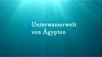 ES 10: Einführung in das Text Layout Framework ES 10: Einführung in das Text Layout Framework