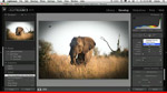 Lightroom 3 Public Beta 2: What's New? Lightroom 3 Public Beta 2: What's New?