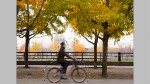 Master Content Aware Fill in Photoshop CS5 Part 2 Master Content Aware Fill in Photoshop CS5 Part 2