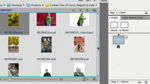 Adobe Mini Bridge Panel and InDesign CS5 Adobe Mini Bridge Panel and InDesign CS5