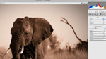 What's new for Photographers in Photoshop CS5 What's new for Photographers in Photoshop CS5