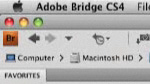 Adobe Bridge CS4 