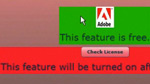 Feature-based License