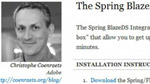 Integrating Spring and Flex