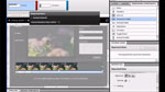 RIA Step-by-step #9 - Creating a Flash Catalyst CS5 Data List component